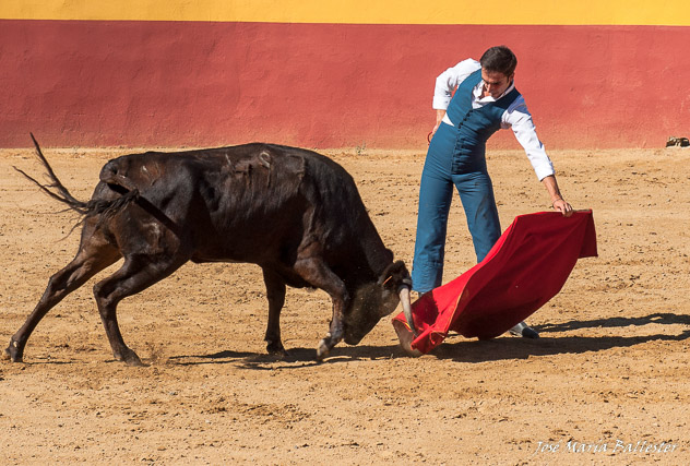 Fernando Flores