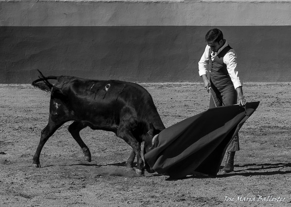 Fernando Flores