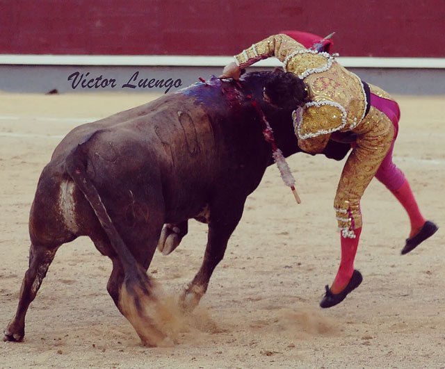 Momento de la cornada. Foto: Víctor Luengo