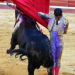 Joselito Adame sustituyó al lesionado Roca Rey y sorteó el mejor lote (FOTO:José Campos)