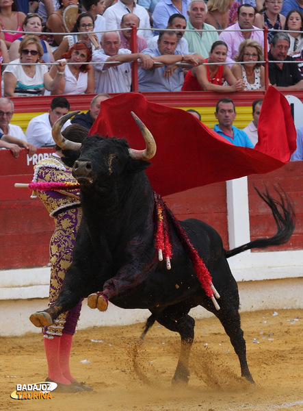 José Garrido