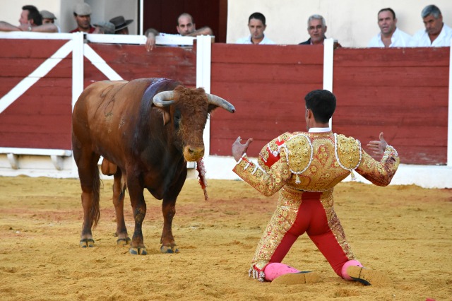 Curro Damián