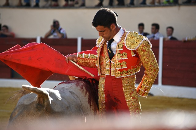 Curro Damián