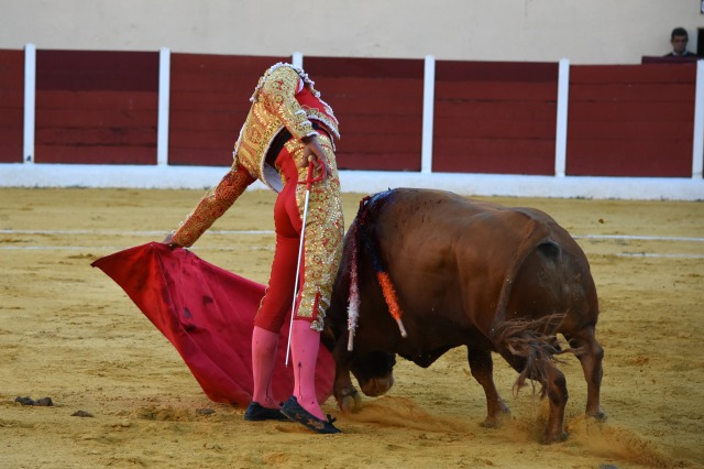 Curro Damián