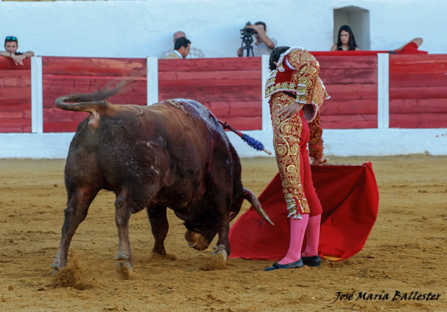 Luis Manuel Terrón