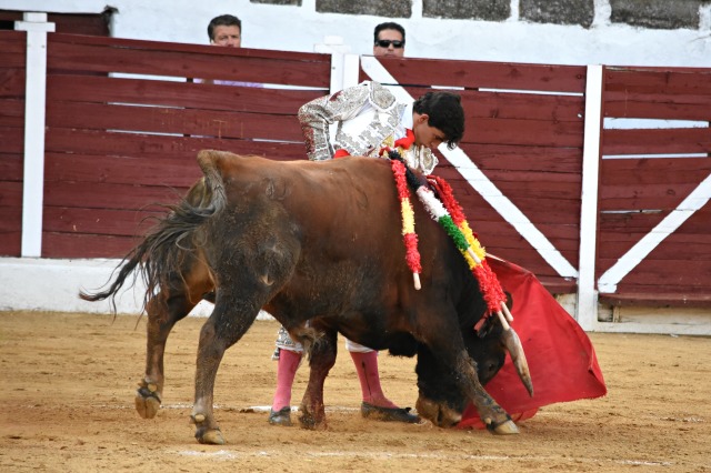 Luis Manuel Terrón