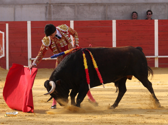 Luis Manuel Terrón