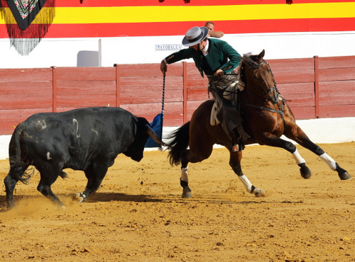 Andy Cartagena y Cuco