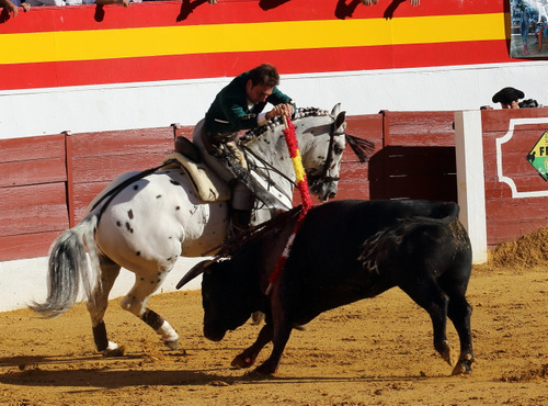 Andy Cartagena y Pintas