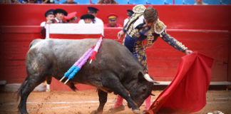 Natural al de El Vergel (FOTO: Plaza México)