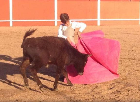 Alumno en la becerreda de Vila Boim