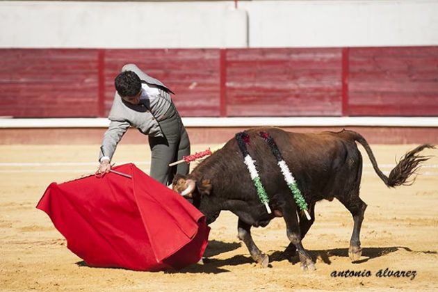 El Adoureño