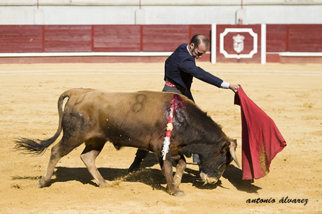 Josué Beltrán