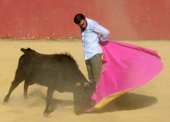 Antonio Ferrera tentando en la ganadería de Hnos. San Pedro (FOTO:Toromedia)