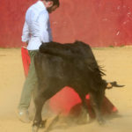 ferrera-hnos-san-pedro-3