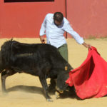 ferrera-hnos-san-pedro-4