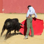 ferrera-hnos-san-pedro-6