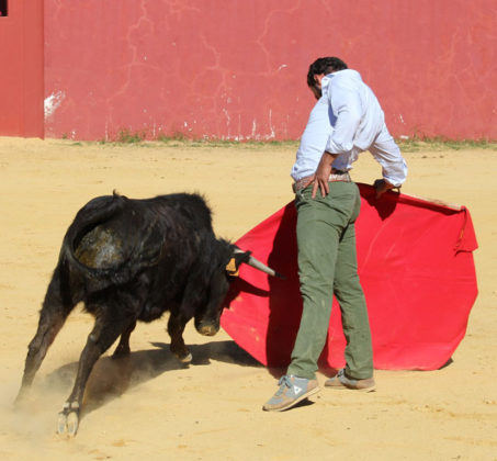 Antonio Ferrera tentando en la ganadería de Hnos. San Pedro (FOTO:Toromedia)