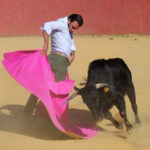 ferrera-hnos-san-pedro-7