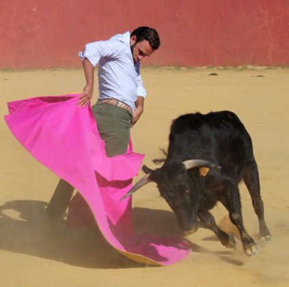 Antonio Ferrera tentando en la ganadería de Hnos. San Pedro (FOTO:Toromedia)