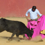 ferrera-hnos-san-pedro-8