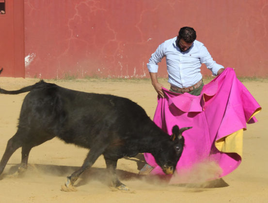 Antonio Ferrera tentando en la ganadería de Hnos. San Pedro (FOTO:Toromedia)