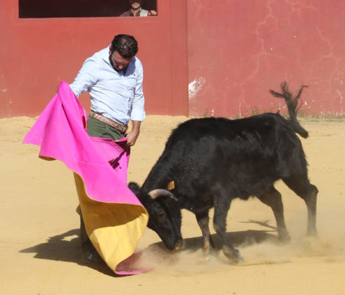 Antonio Ferrera tentando en la ganadería de Hnos. San Pedro (FOTO:Toromedia)