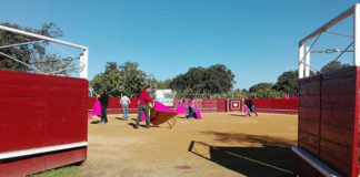 Alumnos del Taller de Toreo de Salón de Badajoz en la clase inaugural