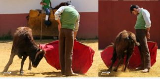 José Pacheco 'El Califa', primer torero misterioso del concurso de Badajoz Taurina