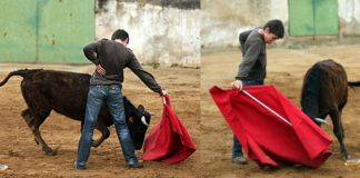 Ginés Marín con 13 años en Las Noras de los Hdros de Bernardino Píriz nuestro segundo torero misterioso