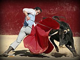 Ambel Posada tentando en Jandilla ha sido el útimo torero misterioso de nuestro juego