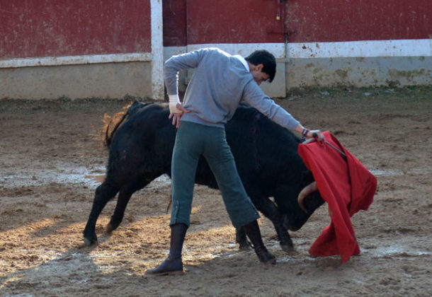 Carlos Domínguez en el tentadero final del Bolsín de Ciudad Rodrigo