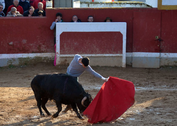 Carlos Domínguez en el tentadero final del Bolsín de Ciudad Rodrigo