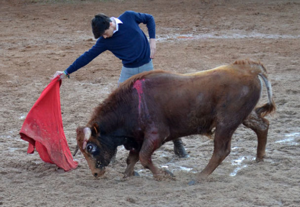 Ismael Jiménez en el tentadero final del Bolsín de Ciudad Rodrigo