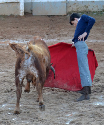 Ismael Jiménez en el tentadero final del Bolsín de Ciudad Rodrigo