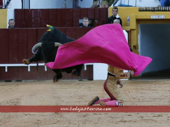 Vuelo sin motor