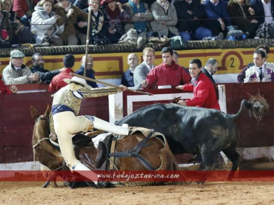 El monosabio salió a defender a su caballo