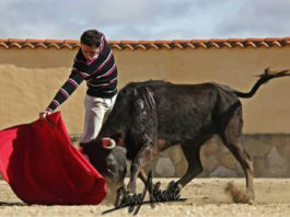 García Corbacho tentando en Victorino (FOTO: Diego Alcalde)