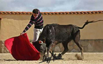 García Corbacho tentando en Victorino (FOTO: Diego Alcalde)