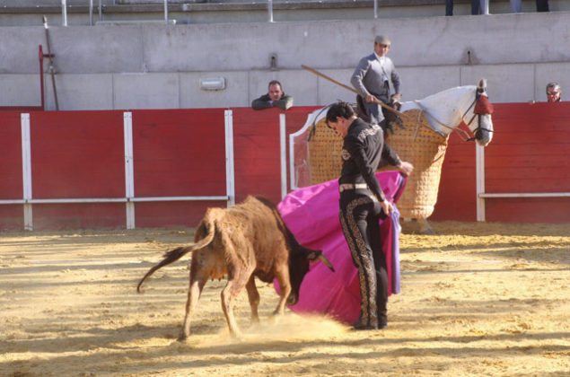 Miguel Ángel Aguilar