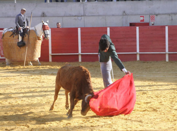 Carlos Domínguez