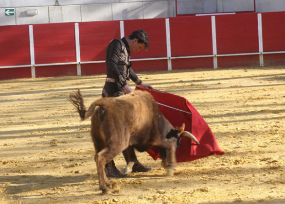 Miguel Ángel Aguilar