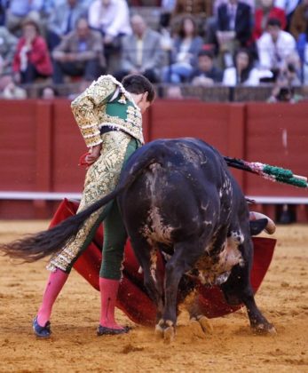 Ginés Marín en La Maestranza (FOTO: Toromedia)