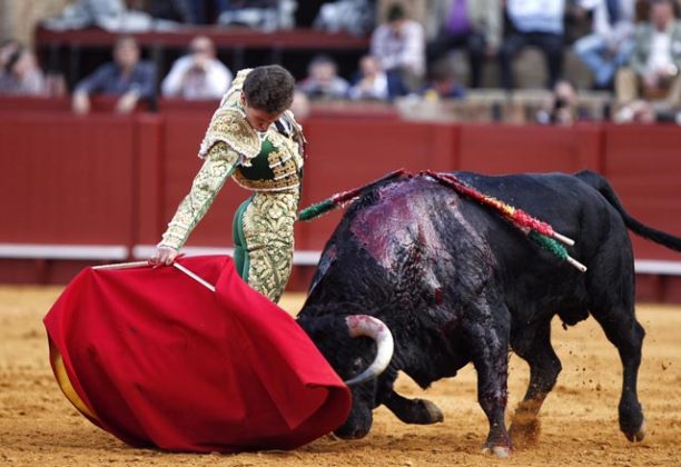 Ginés Marín en La Maestranza (FOTO: Toromedia)