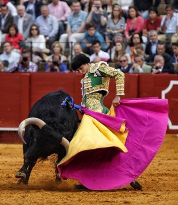 Ginés Marín en La Maestranza (FOTO: Toromedia)