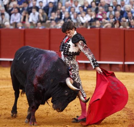 José Garrido en La Maestranza (FOTO: Toromedia)