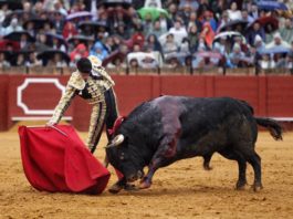 Talavante en un momento de su faena en La Maestranza (FOTO:Toromedia)