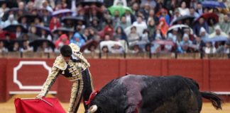 Talavante en un momento de su faena en La Maestranza (FOTO:Toromedia)