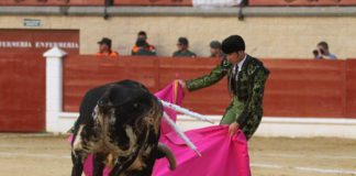 El banderillero Jesús Díez 'Fini' colocando un toro de su matador en la plaza de toros de Los Barrios la tarde de su reaparición. (FOTO:@laliturgia)