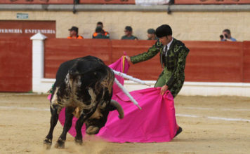 El banderillero Jesús Díez 'Fini' colocando un toro de su matador en la plaza de toros de Los Barrios la tarde de su reaparición. (FOTO:@laliturgia)